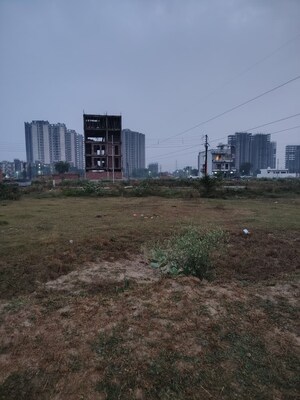  Plot – Exterior View View at Sector 80 - for Sale