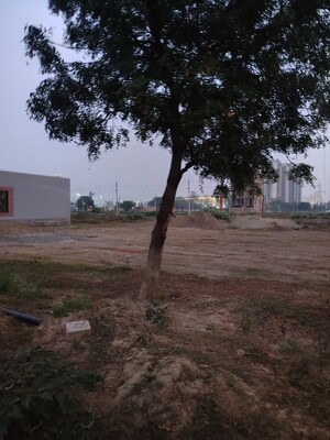 Plot Area in  Plot at Sector 80 – for Sale