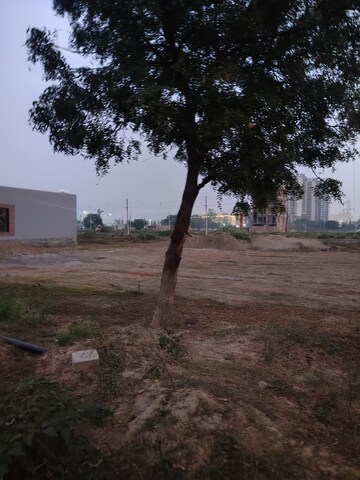 Plot Area in  Plot at Sector 80 – for Sale