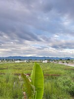 125 Sq.Yd. Plot in Valora Urbano