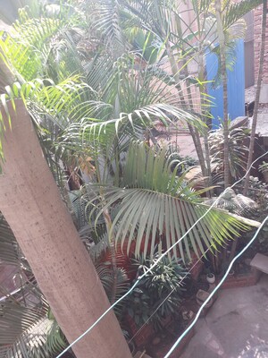 Balcony in 1.5 BHK Builder Floor at East Of Kailash – for Rent