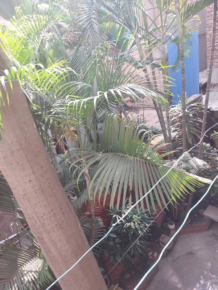 Balcony, east of kailash 1.5 Bedroom 1000 Sq.Ft. Builder Floor In East Of Kailash Delhi 9388035