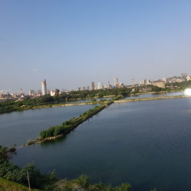 Swimming Pool, ajmera-bhakti-park-sector-i-and-ii 1 Bedroom 585 Sq.Ft. Apartment In Bhakti Park Mumbai 9388117