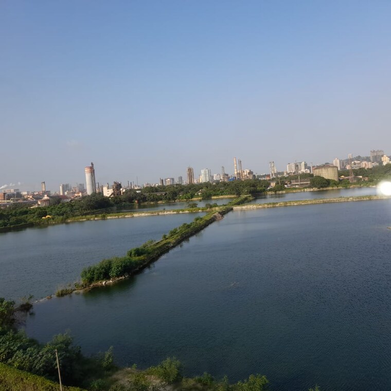 Swimming Pool, ajmera-bhakti-park-sector-i-and-ii 1 Bedroom 585 Sq.Ft. Apartment In Bhakti Park Mumbai 9388117