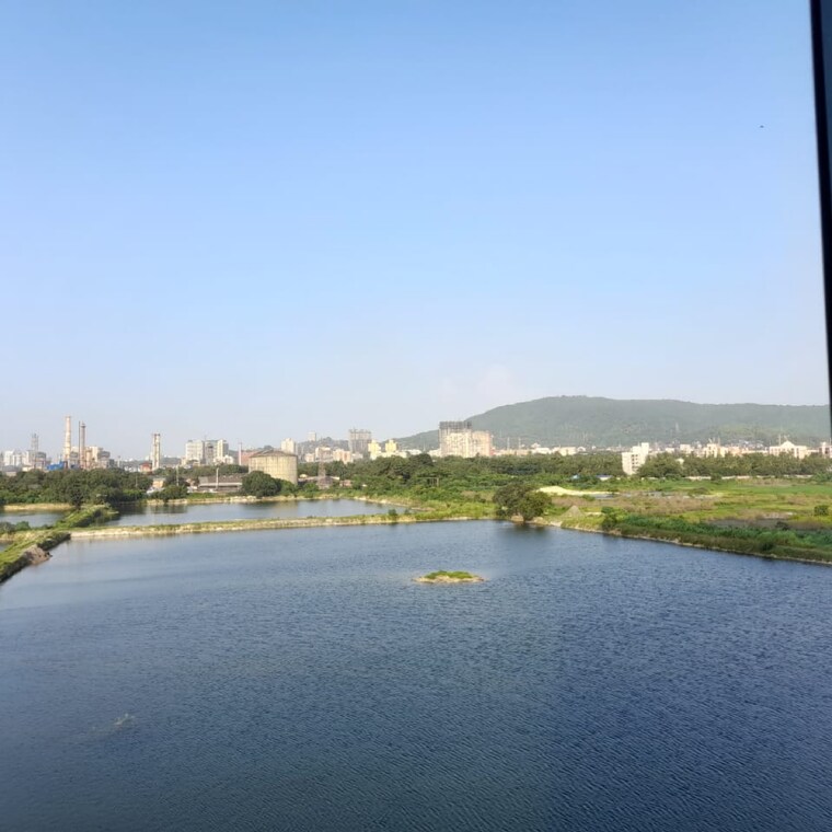 Swimming Pool, ajmera-bhakti-park-sector-i-and-ii 1 Bedroom 585 Sq.Ft. Apartment In Bhakti Park Mumbai 9388117