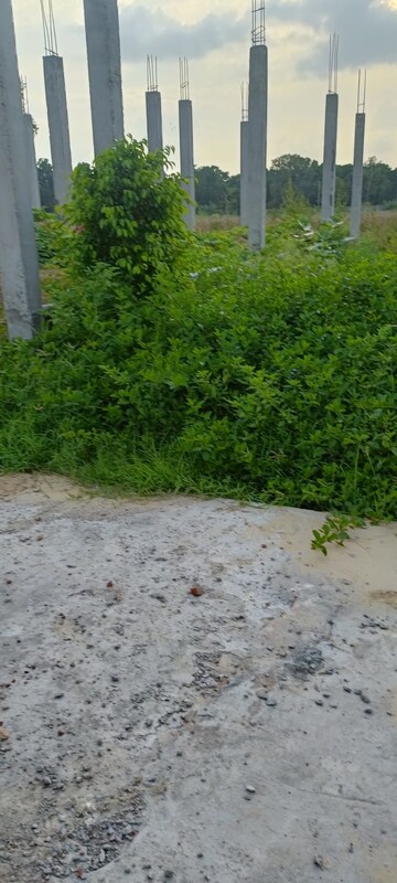  Plot For Sale in Rohta