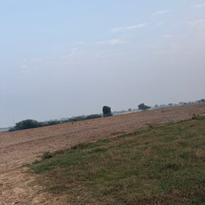  Plot For Sale in Sector 14