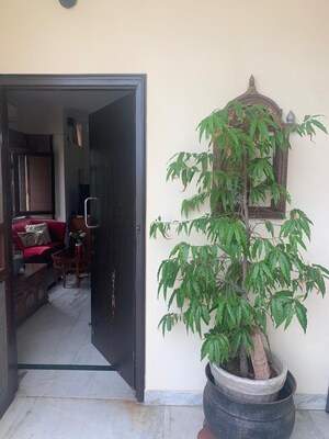 Living Room in 1 RK Apartment at DDA Rosewood Apartments, Vasant Kunj – for Rent