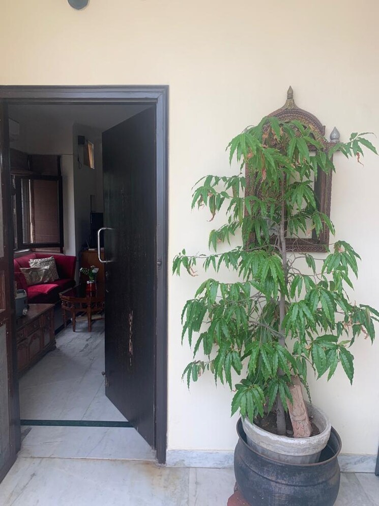 Living Room, dda-rosewood-apartments 1 RK 600 Sq.Ft. Apartment In Vasant Kunj Delhi 9388198