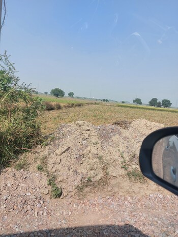 Land for Sale in Mant, Vrindavan