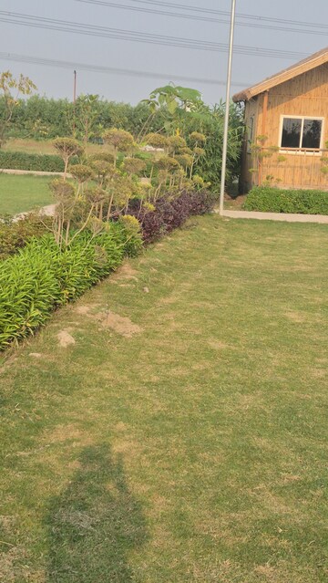  Plot – Exterior View View at Tech Zone Greater Noida - for Sale