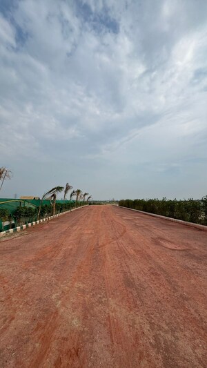  Plot – Exterior View View at Tech Zone Greater Noida - for Sale