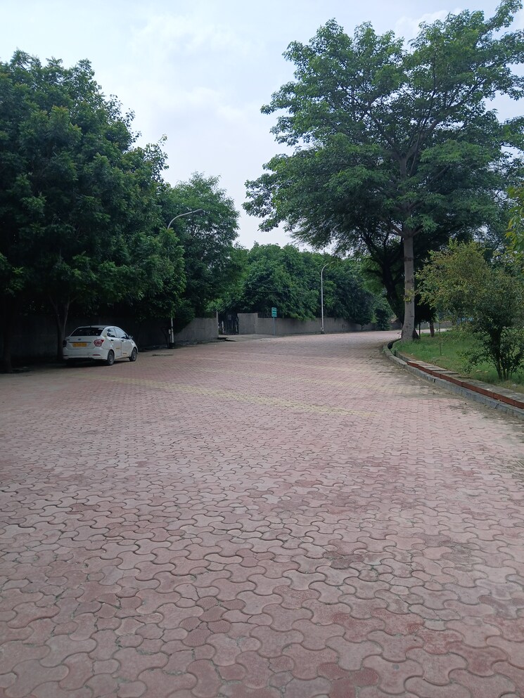 Exterior View, rwa-apartments-sector-121  116 Sq.Yd. Plot In Sector 121 Noida 9388949