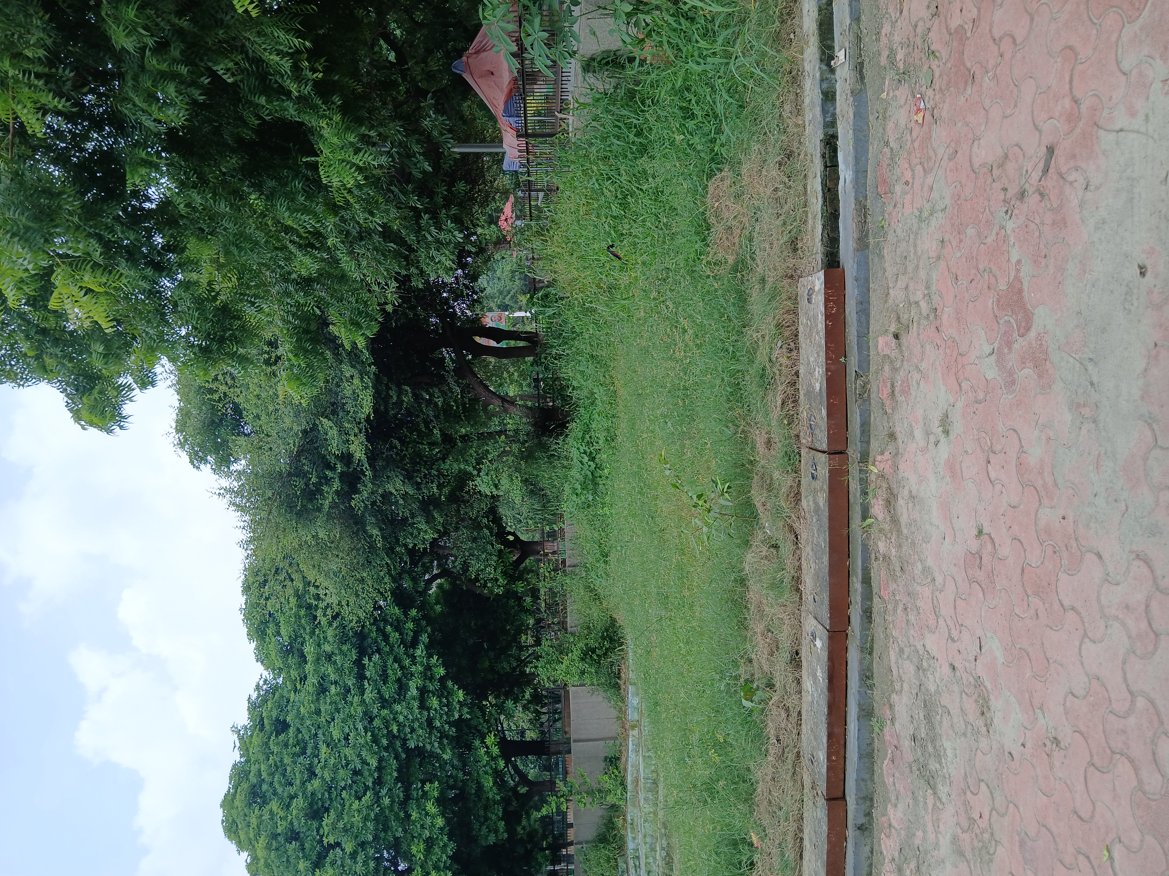 Plot For Sale in RWA Apartments Sector 121