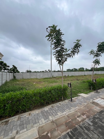 Plot Area in  Plot at Morta – for Sale