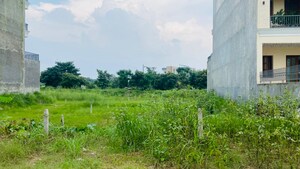  Plot For Sale in GMADA Eco City, North Mullanpur