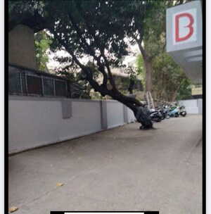 3 BHK Apartment – Exterior View View at Rajgir Court Apartment, Dadar East - for Sale