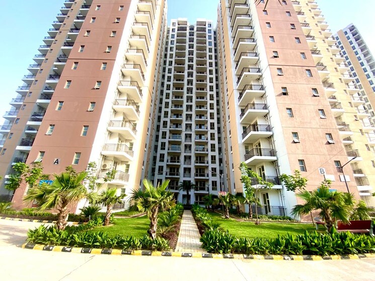 Exterior View, avl-36-gurgaon 1 Bedroom 450 Sq.Ft. Apartment In Sector 36 Gurgaon 9389695