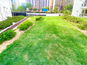 1 BHK Apartment – Garden View at AVL 36 Gurgaon, Sector 36 - for Sale