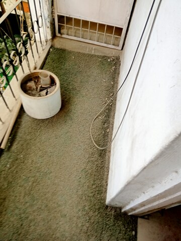 Balcony in  Warehouse at Saket – for Rent