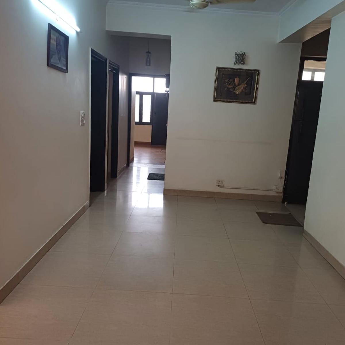 2 BHK Builder Floor For Rent in Ppb Associate 