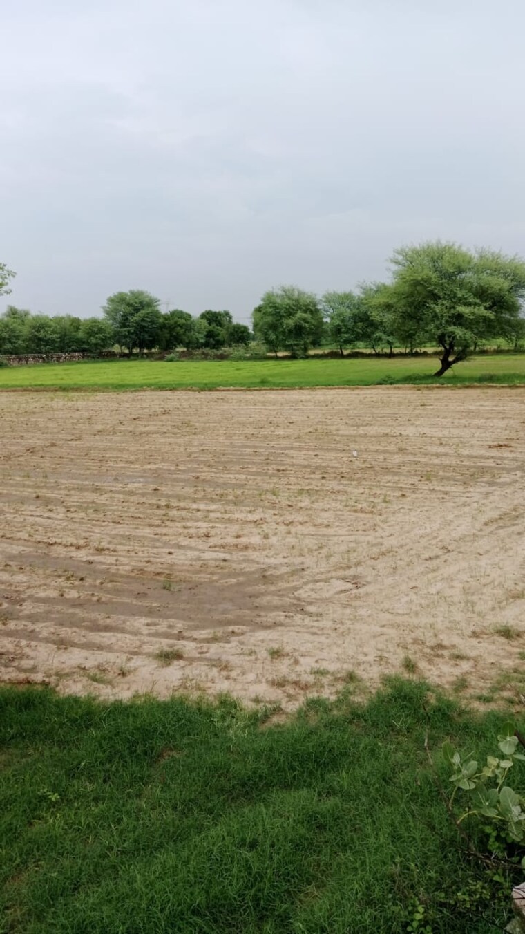 undefined, barsana-city Commercial Land 11000 Sq.Ft. In Bassi Jaipur 9389836