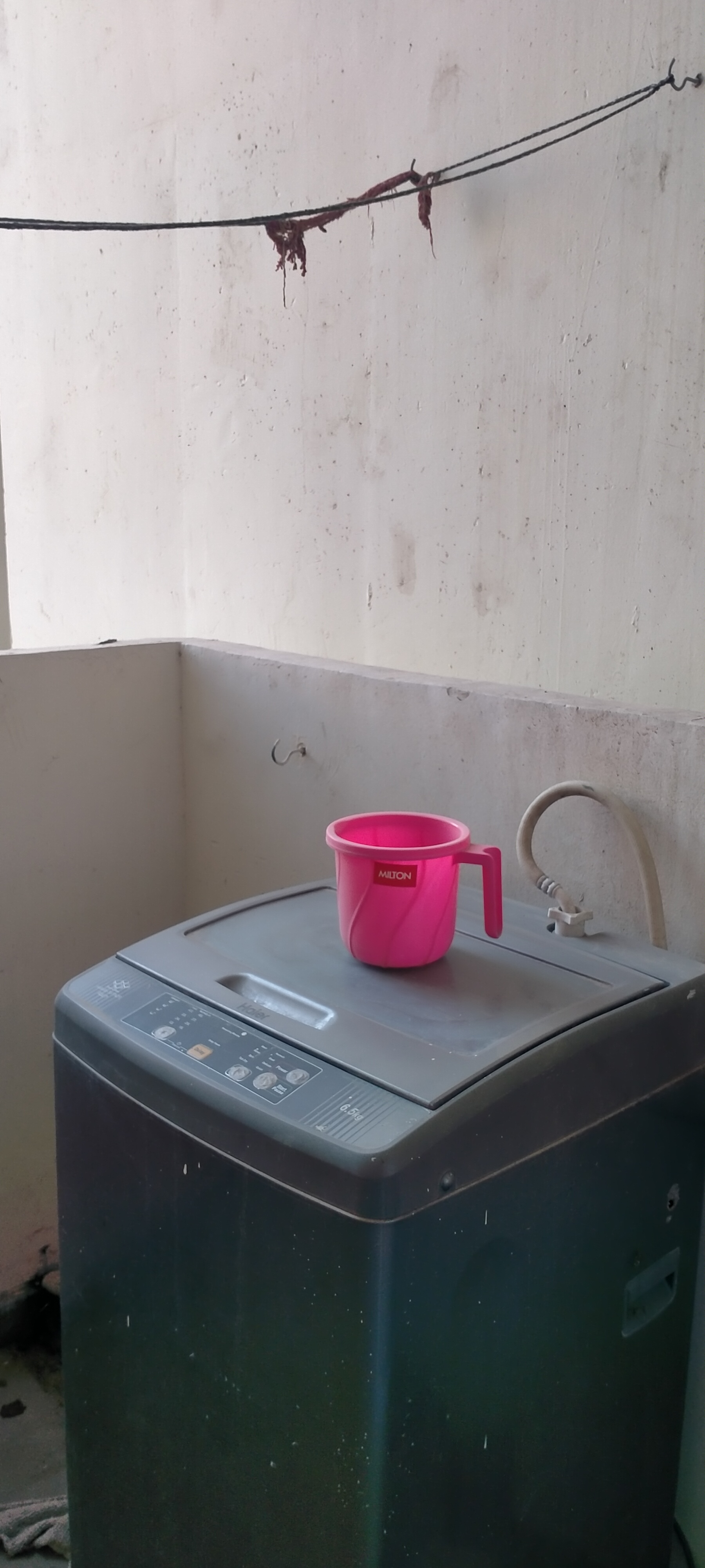 2 BHK Apartment For Rent in Tulip Lemon