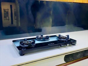 Furnished Amenities in 2 BHK Apartment at Gomti Homes, Nabha – for Rent