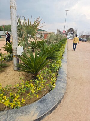  Plot – Garden View at Fatehabad Road - for Sale