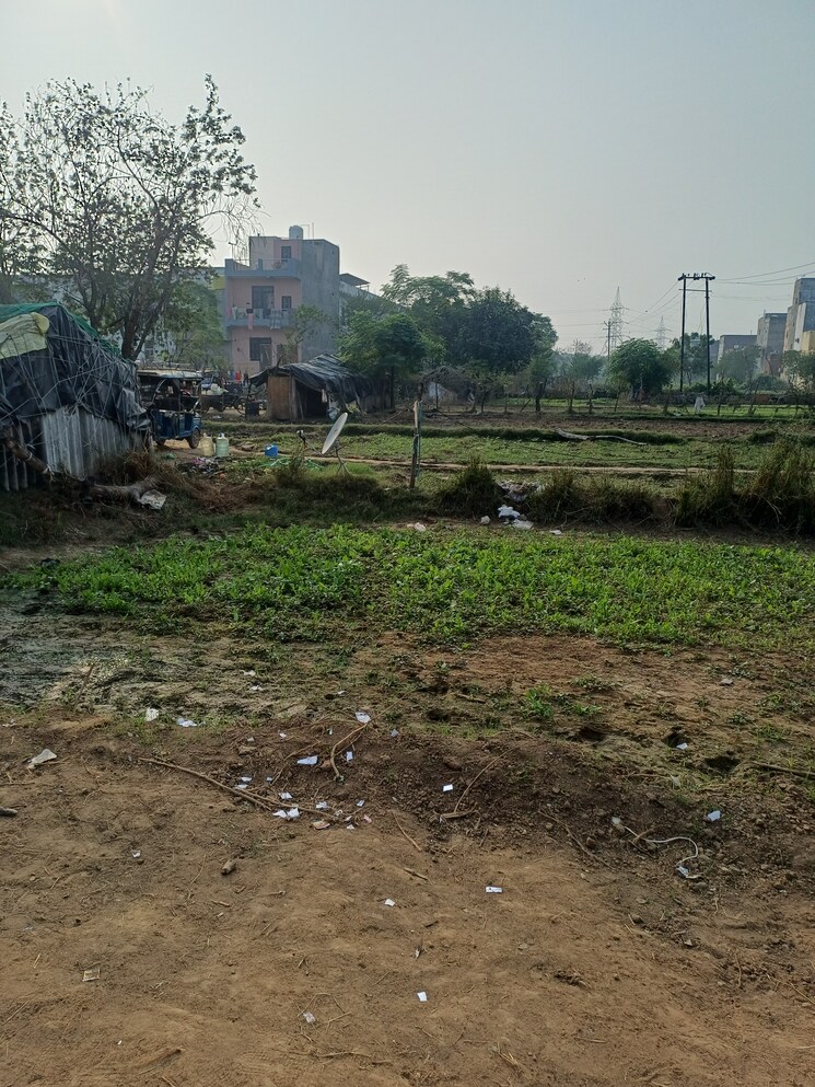 Garden, palla  56 Sq.Yd. Plot In Palla Faridabad 9390265