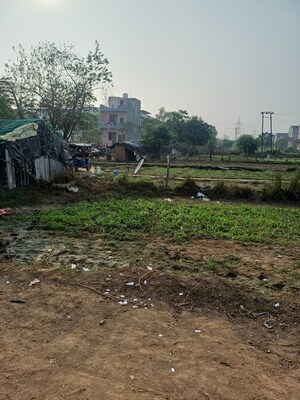  Plot – Exterior View View at Palla - for Sale