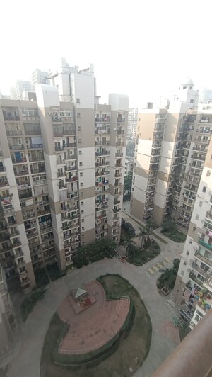 2 BHK Apartment For Rent in Jm Orchid, Sector 76