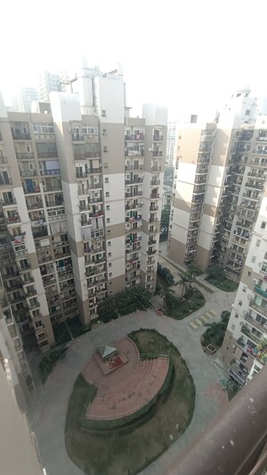 2 BHK Apartment For Rent in Jm Orchid, Sector 76