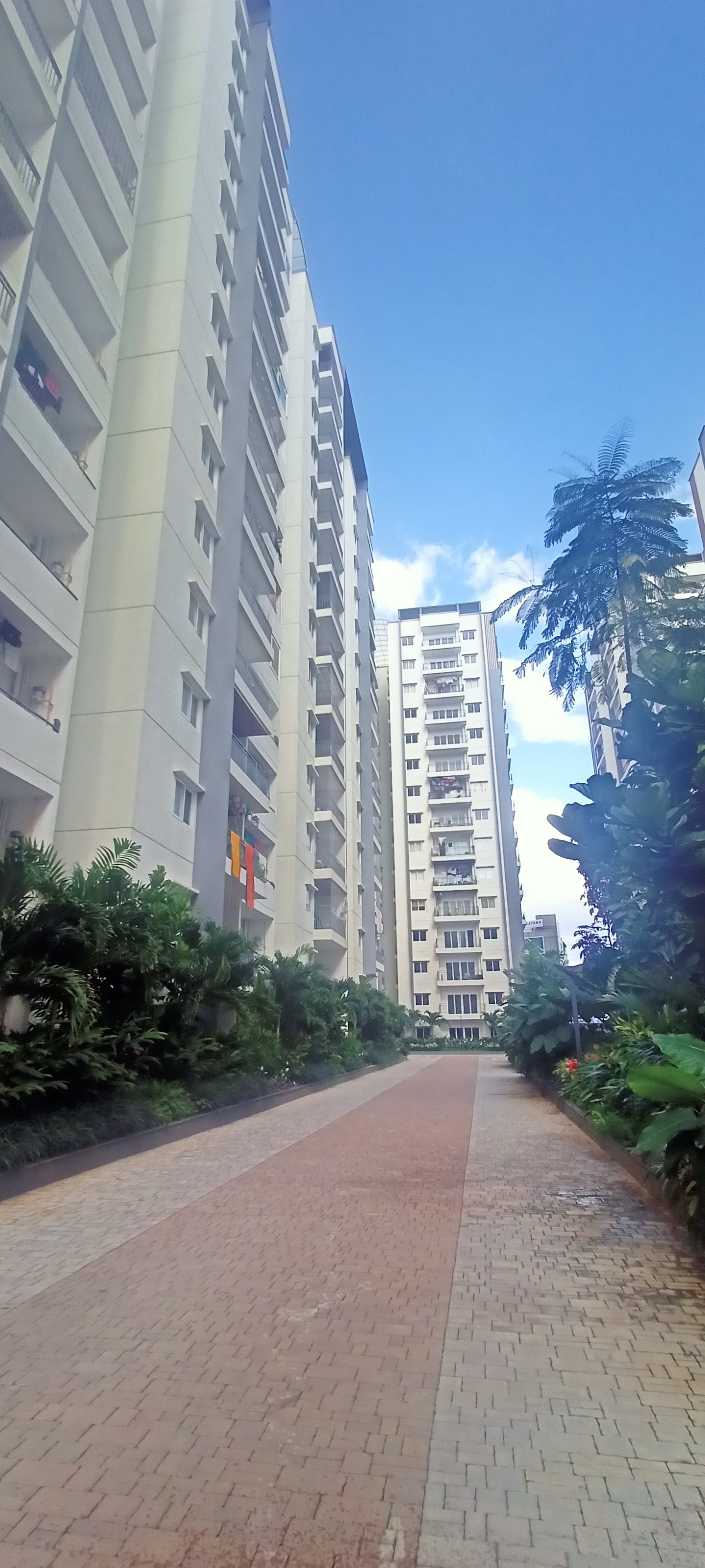 3 BHK + Pooja Room Apartment For Rent in Puppalaguda