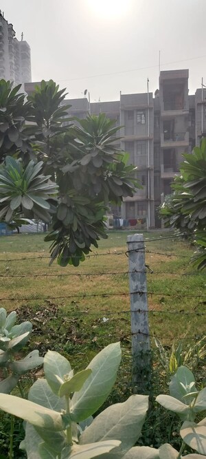 1.5 BHK Apartment – Garden View at Sector 10 Greater Noida - for Sale