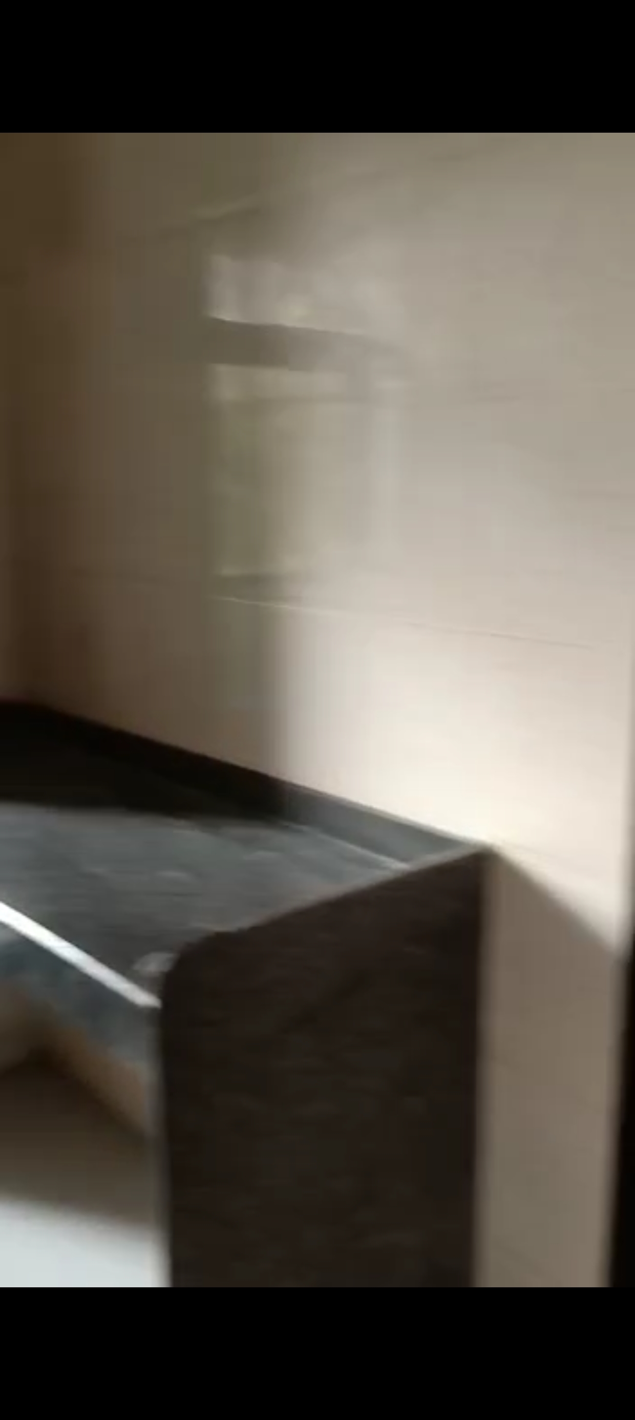 1 BHK 500 Sq.Ft. Apartment in VRSLyzonn Neelambari