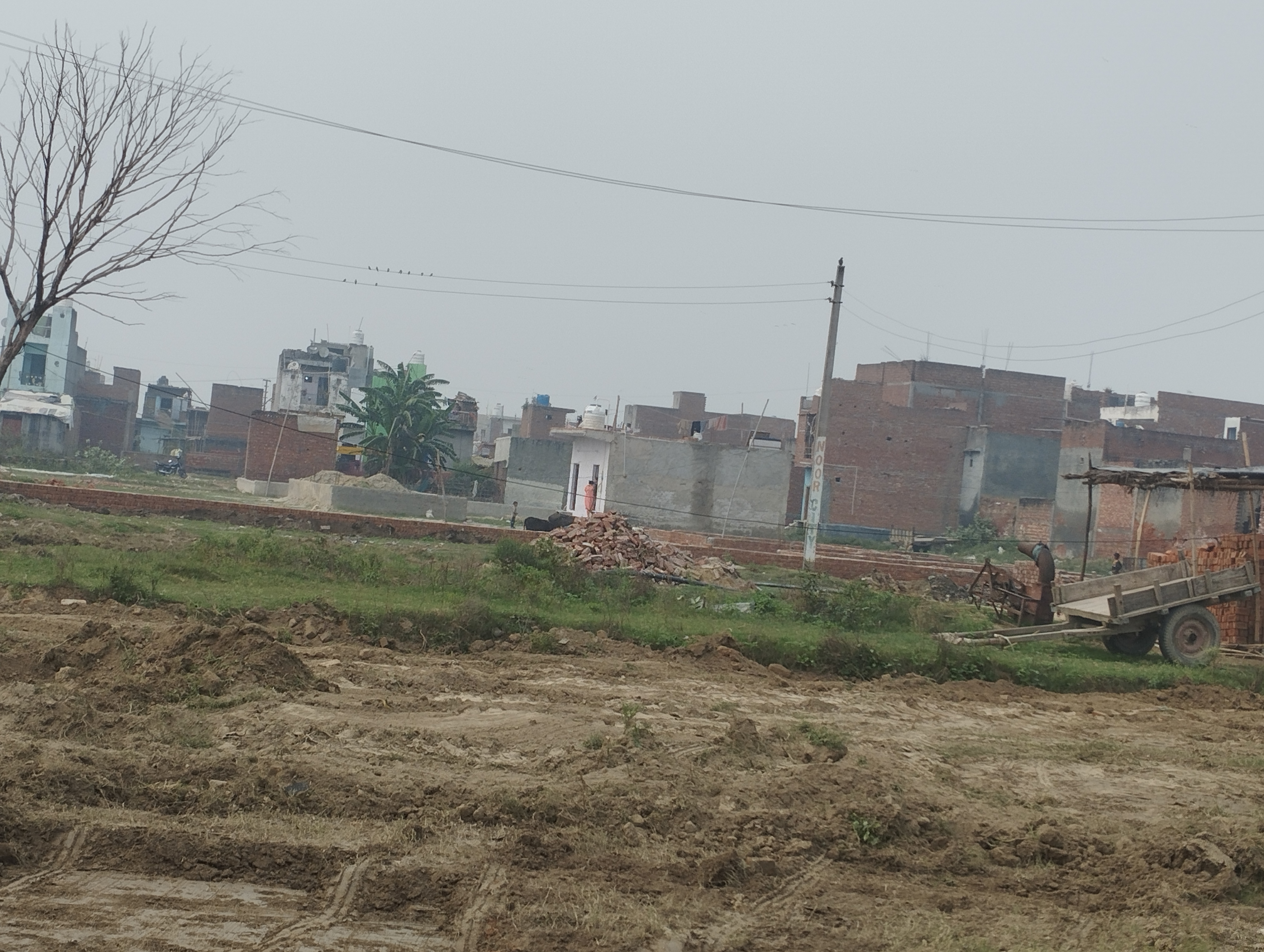 Plot For Sale in Tronica City