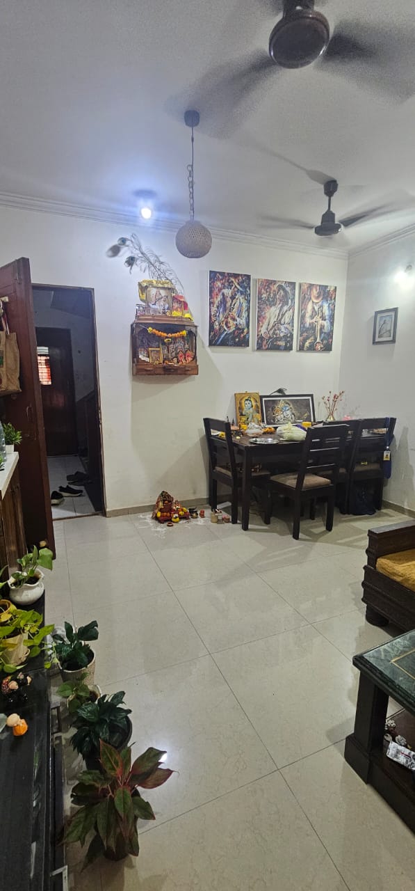 1 BHK Apartment For Rent in Bhoomi Park