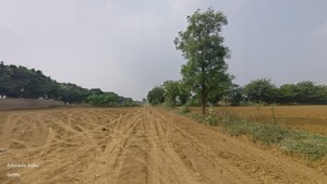  Land For Sale in Sohna