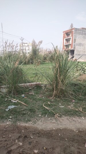  Plot For Sale in Royal Arcade Anand Vihar, Anand Vihar