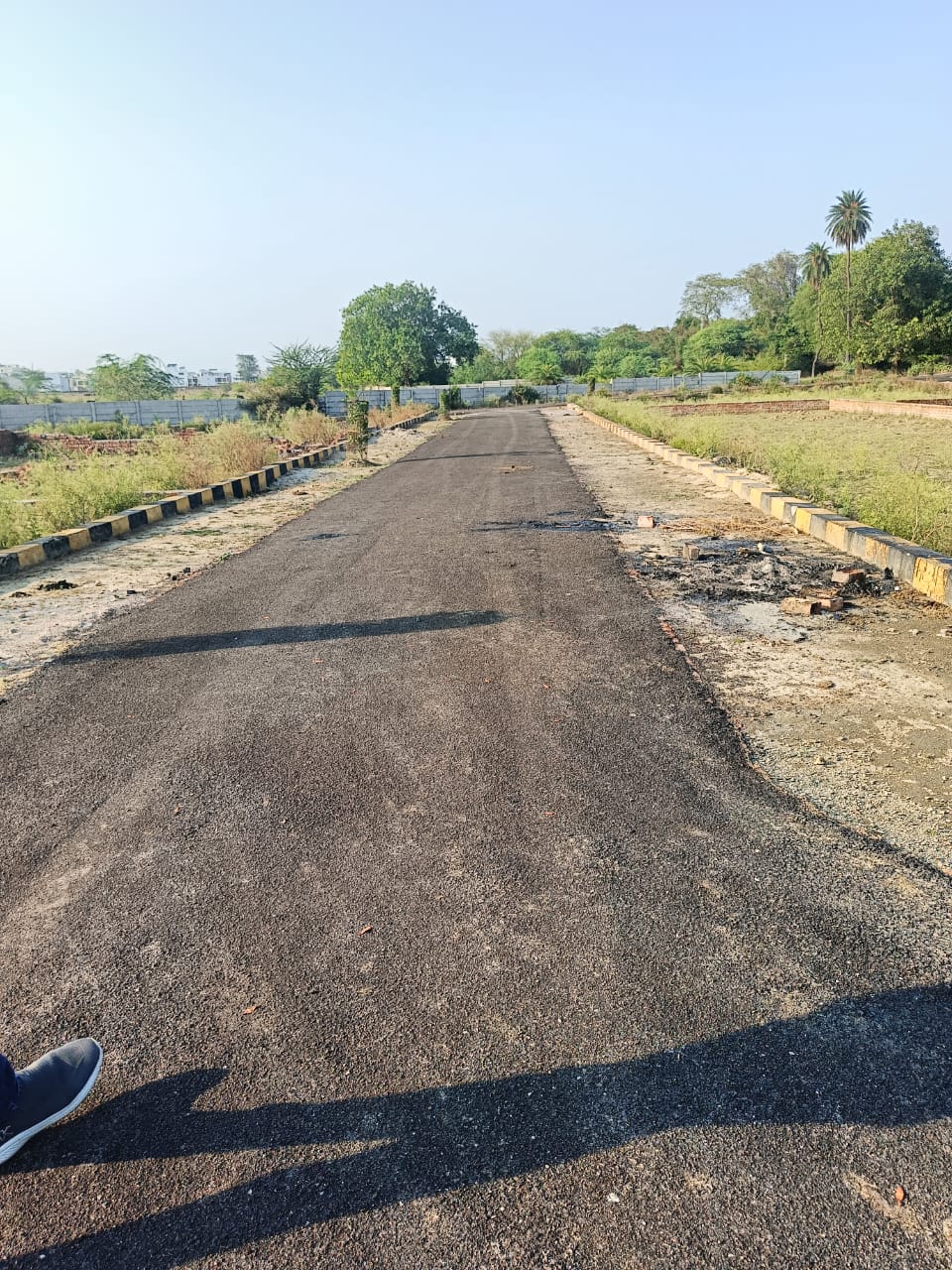 Plot For Sale in Chinhat