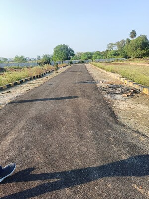 Plot Area in  Plot at Chinhat – for Sale