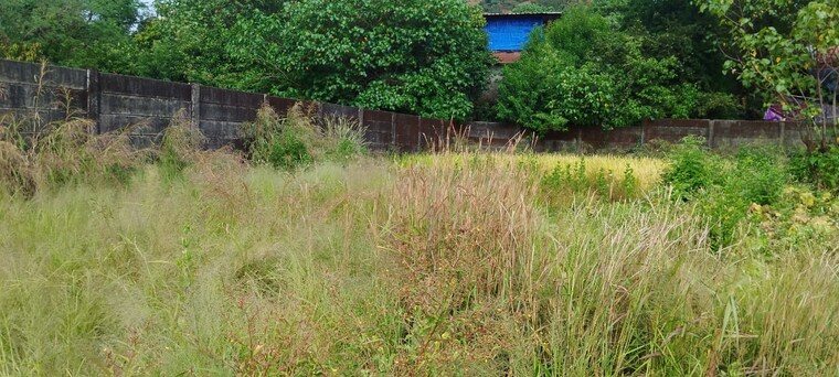 undefined, igatpuri  11000 Sq.Ft. Plot In Igatpuri Nashik 9391964