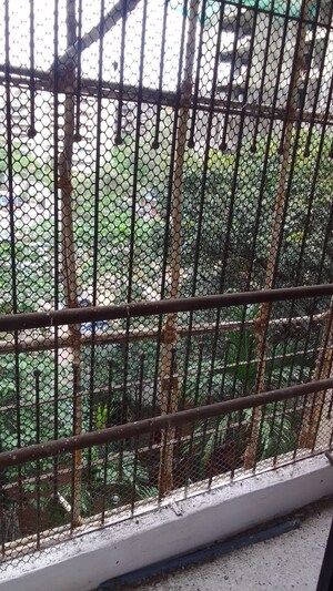 Balcony in 2 BHK Apartment at GHP Woodland Heights, Chandivali – for Rent