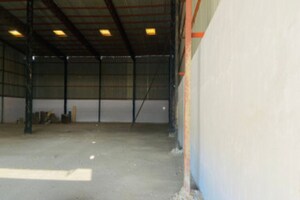  Warehouse For Rent in Pace City 2