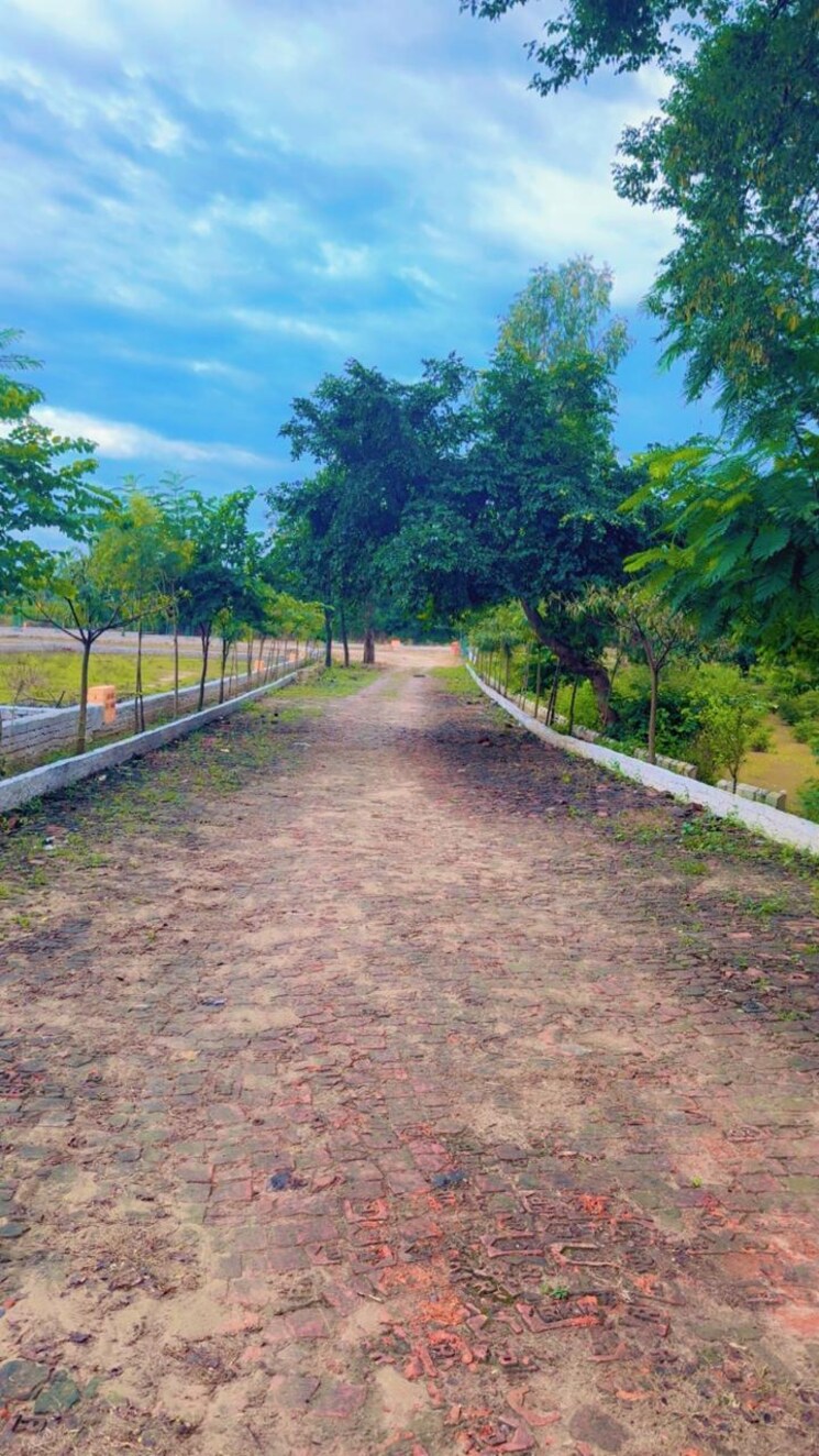 undefined, sultanpur road  1000 Sq.Ft. Plot In Sultanpur Road Lucknow 9391948