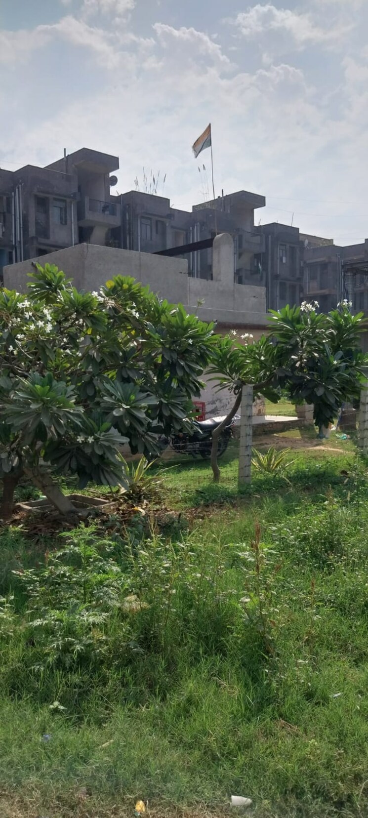 Garden, sector 10 greater noida 1 Bedroom 30 Sq.Mt. Apartment In Sector 10 Greater Noida Greater Noida 9392017