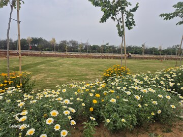  Plot – Garden View at Ireo Savannah, Sohna Sector 35 - for Sale