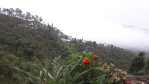 3 BHK Apartment – Exterior View View at Kumarhatti - for Sale