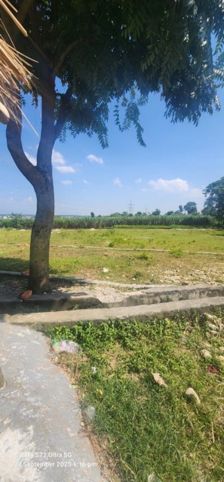 undefined, sherpur  1250 Sq.Ft. Plot In Sherpur Dehradun 9244553